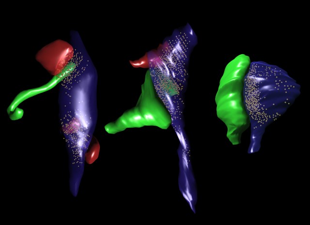 01_Nicolas_Toni_Hang on_04