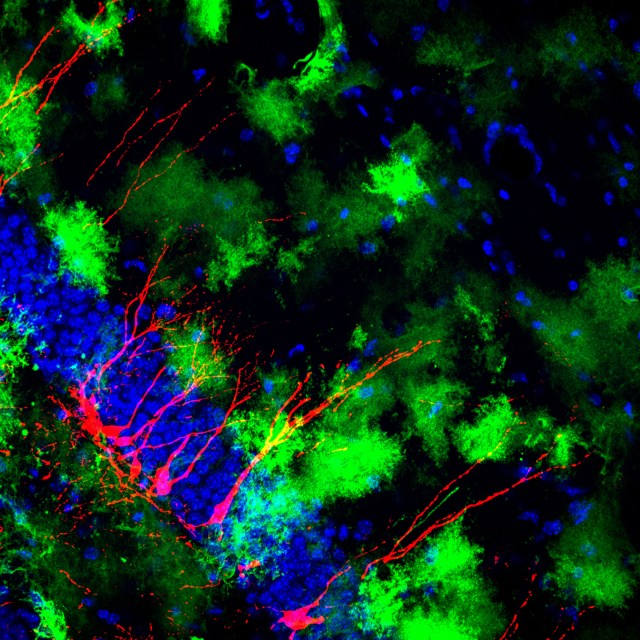 01_Nicolas_Toni_The new generation_02